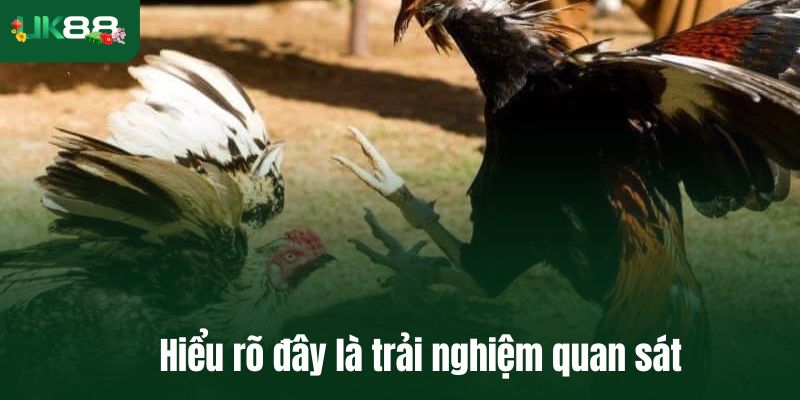 Hiểu rõ đây là trải nghiệm quan sát
